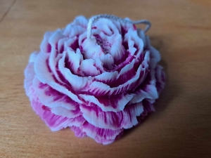 2 kleurige bloem