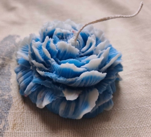 2 kleurige bloem