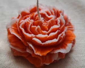 2 kleurige bloem