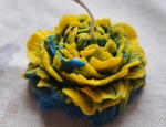 2 kleurige bloem